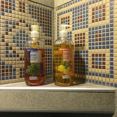 Le Grenier Des Reves アパート レ・デュー・アルプ