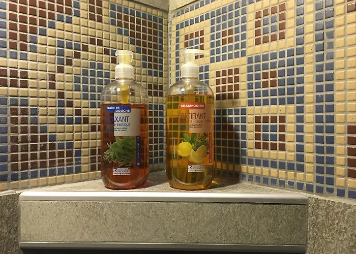 Le Grenier Des Reves 公寓 莱德萨阿尔卑斯